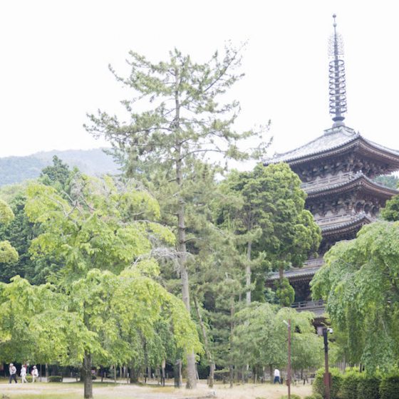 世界遺産・醍醐寺でイケアの社員が修行　千年の歴史に学ぶサステナビリティ
