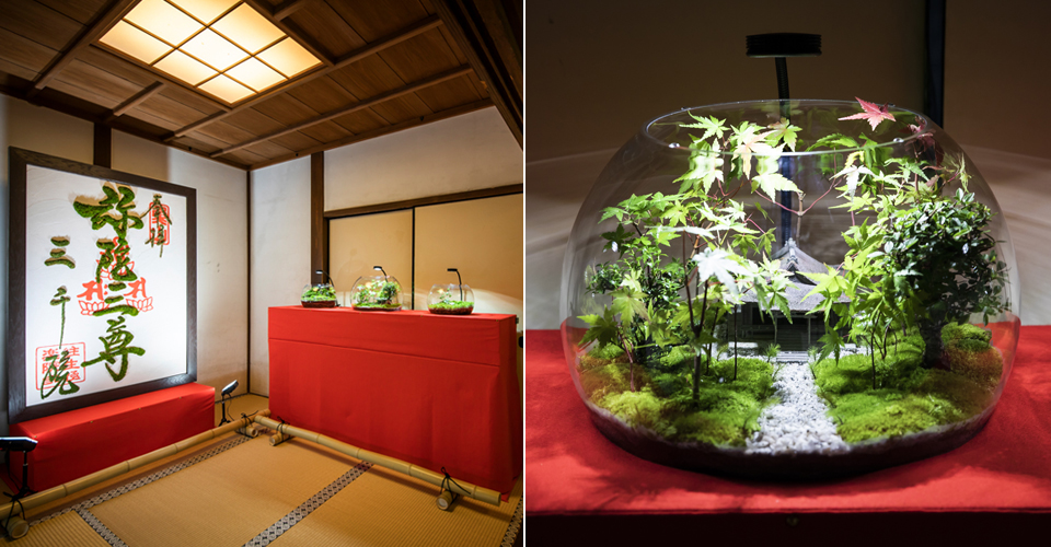 初秋の京都に“オリジナル苔アート”が登場。苔の名所5寺院で展示された「モシュ印」＆「コケ寺リウム」を観て巡る旅を。“そうだ 京都、行こう”