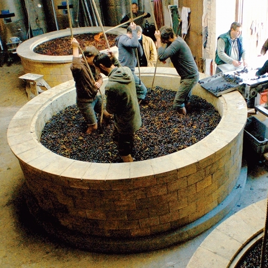 くしくも今日は2016年のボジョレー・ヌーヴォー解禁日！ 映画『ブルゴーニュで会いましょう』自然派ワインを生み出す伝統的なぶどう足踏みシーン公開！