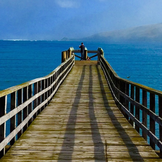 ＜ethicaコラボ企画＞ 今年のGWは【ニュージーランドのエコ＆オーガニックを巡る旅7日間】はいかがでしょう。　～インスタグラマー必見！『フォトコンテスト』開催～