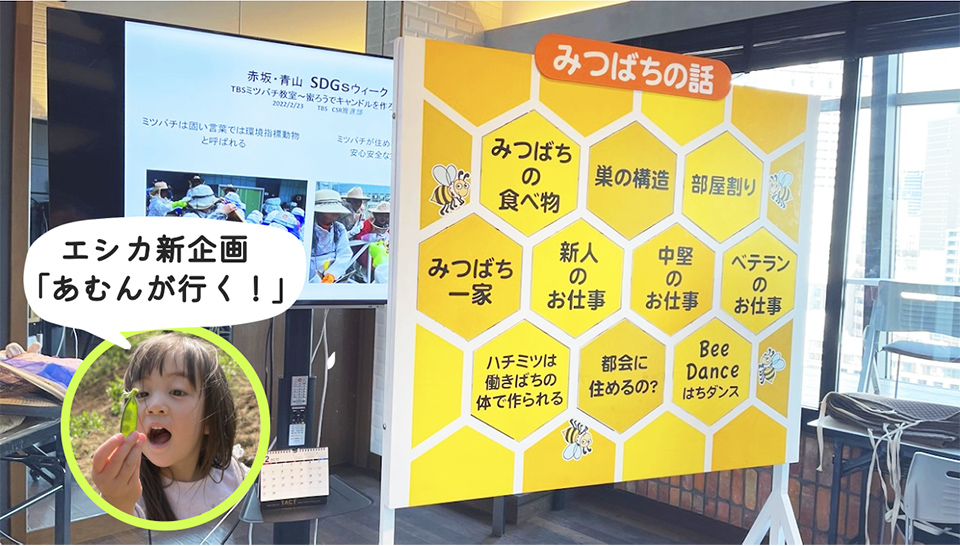 【あむんが行く！第1話】 TBSのSDGsプロジェクト！「ミツバチ教室」で蜜ろうキャンドルづくりを体験