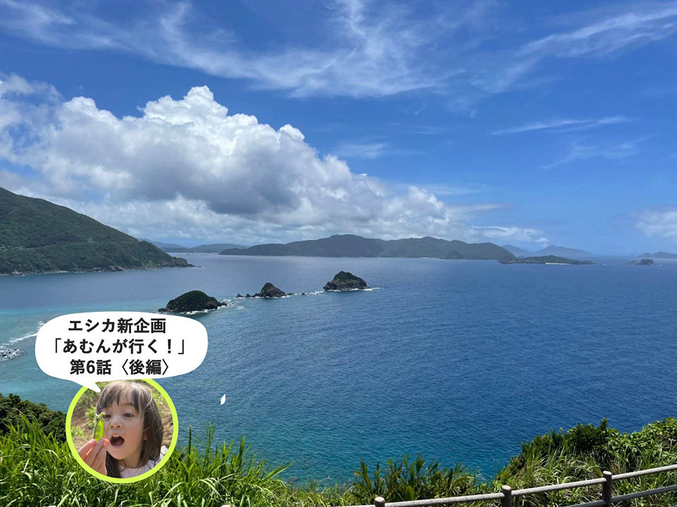 【あむんが行く！第6話】世界遺産の島、奄美大島の瀬戸内町へあそびにいってきました！（後編）