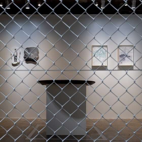 注目の若手アーティスト！川端健太と高山夏希による二人展「透明な交点」