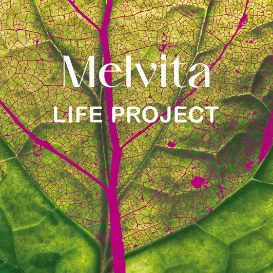 サステナブルな視点のあるアート作品を紹介するメルヴィータ ライフ プロジェクト