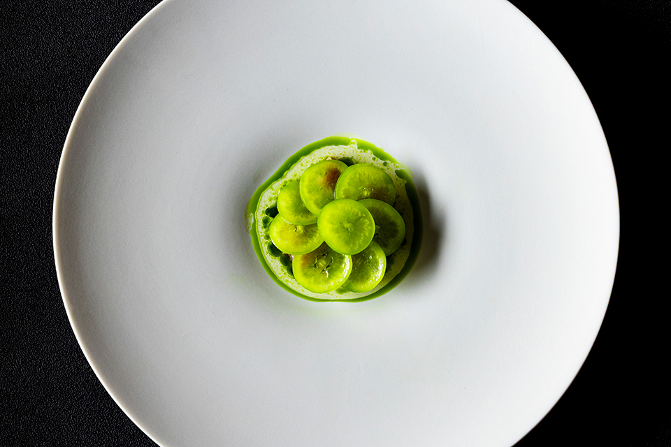 「ブレストンコート ユカワタン」で楽しむ水と森の恵みを味わう秋限定コース