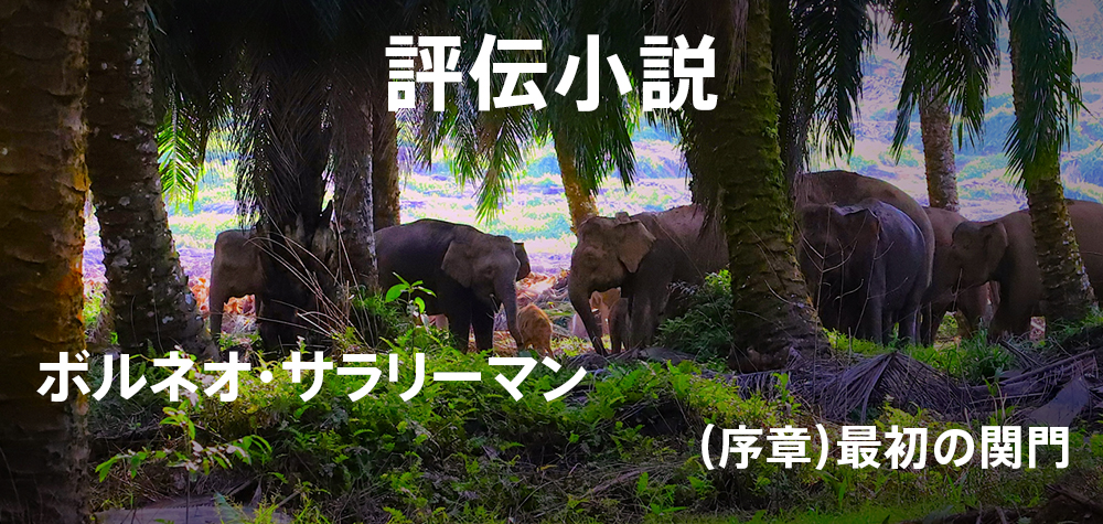 ボルネオ・サラリーマン