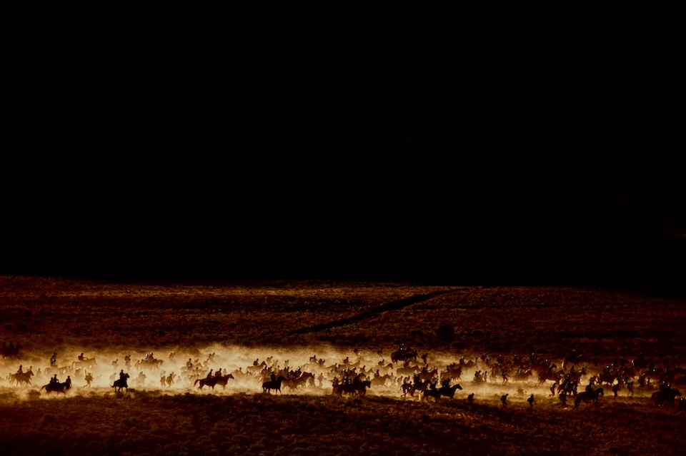 【集中連載】ネイチャーフォトグラファー柏倉陽介（第2話） ※4夜連続配信企画