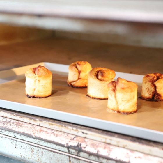 “食べるたび、地球とつながる” プラントベース・ロールパン「planet rolls」