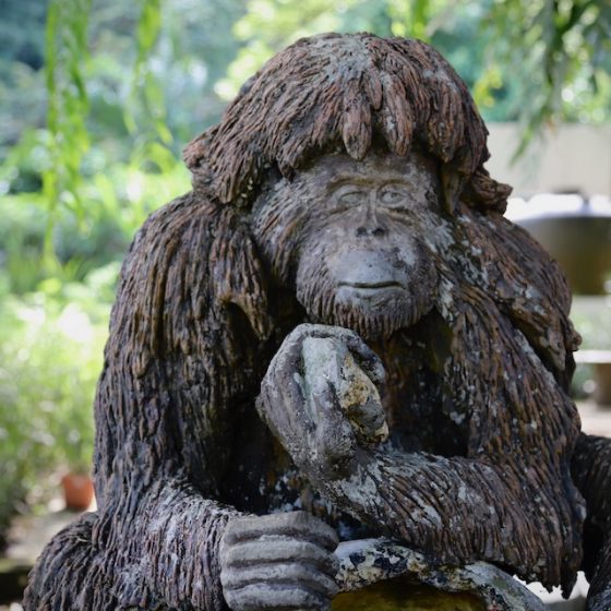 【連載】評伝小説「ボルネオ・サラリーマン」 （第5話）困惑と覚悟