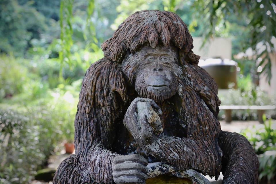 【連載】評伝小説「ボルネオ・サラリーマン」 （第5話）困惑と覚悟