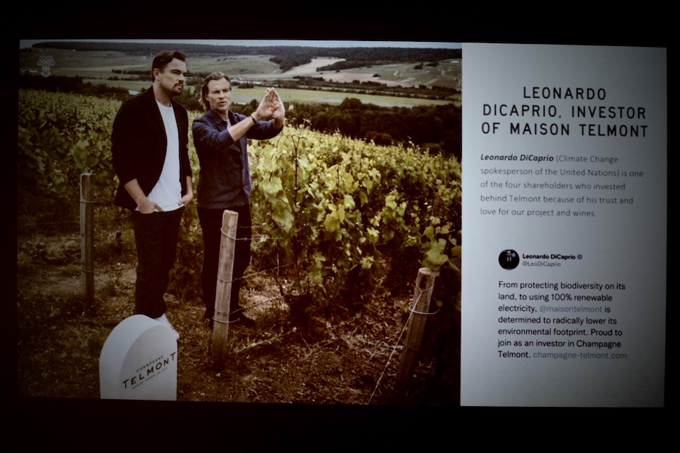 俳優のレオナルド・ディカプリオも出資するサステナブルなシャンパーニュ・ メゾン「テルモン（TELMONT）」の歴史と挑戦